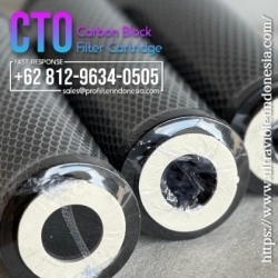 cto carbon block filter cartridge  large